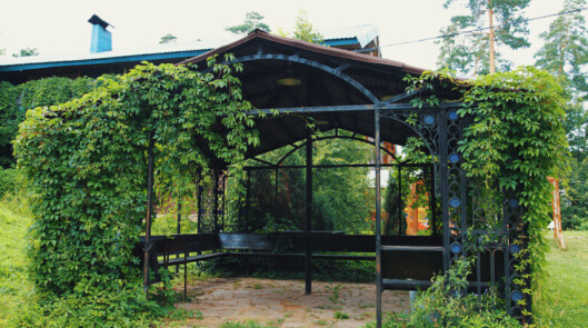 Барбекю в Улиткино