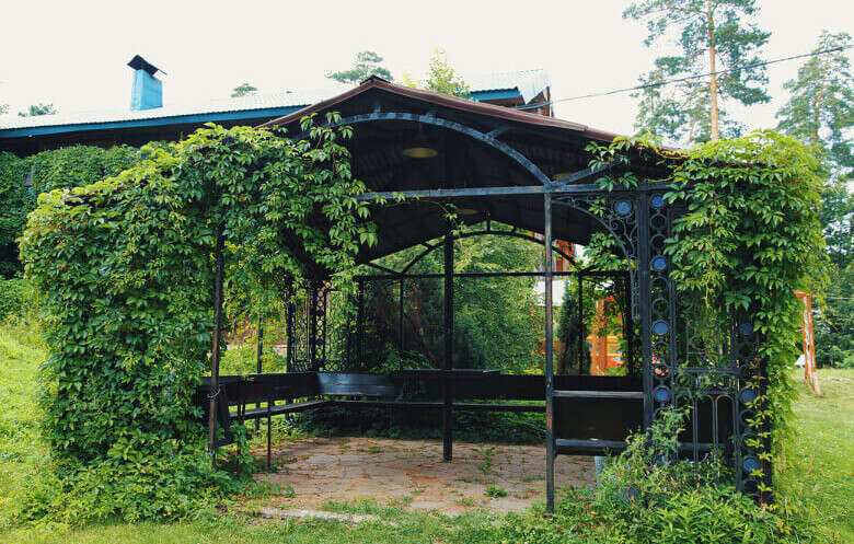 Барбекю в Улиткино